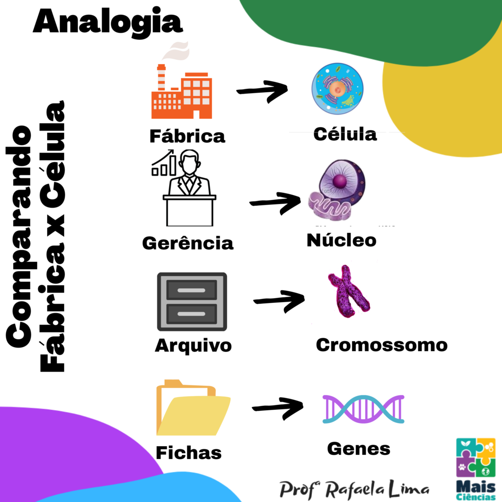 INFO VERTICAL CÉLULAS