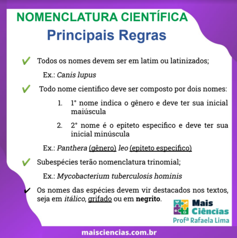 Nomenclatura Científica - Mais Ciências - Professora Rafaela Lima ...